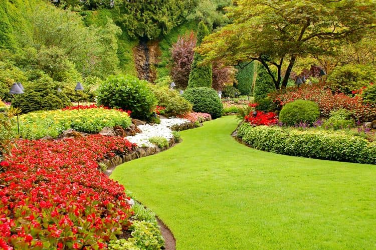 5 Reasons to Hire a Professional Landscaper
