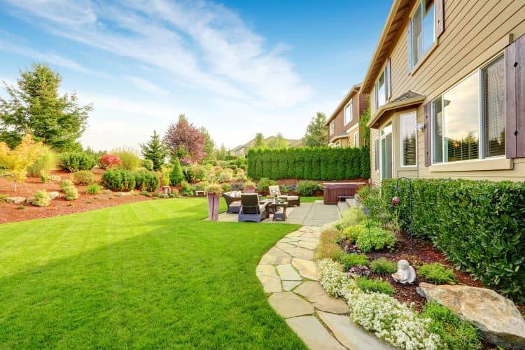 Summer Lawn Care Maintenance Tips