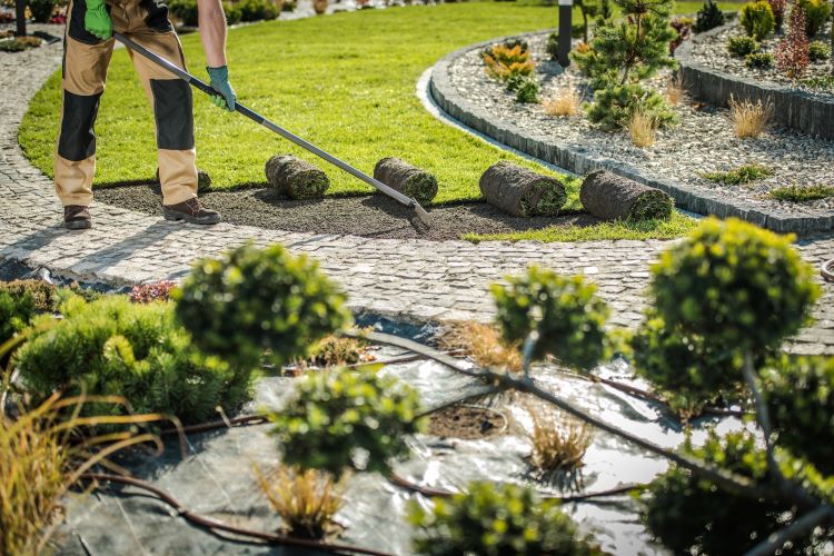 Common Mistakes to Avoid When Hiring Landscaping Companies
